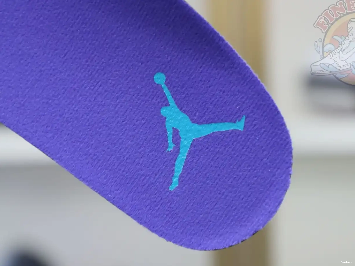 Air Jordan Jordan6